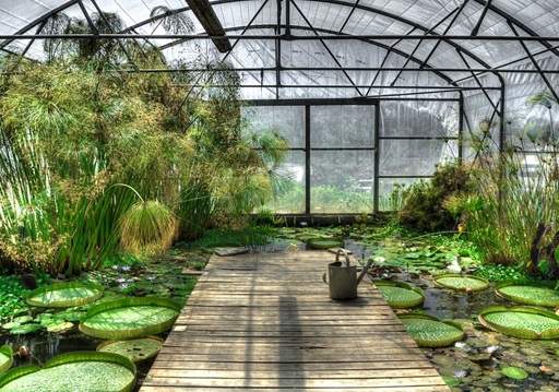 Greenhouse with watering can on path